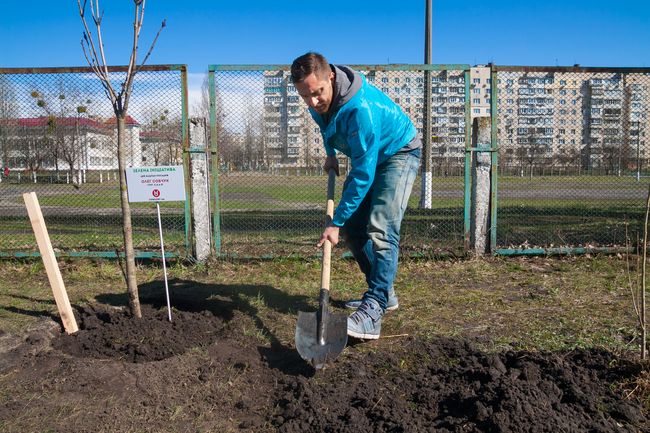 Украинские звезды посадили в Киеве аллею каштанов